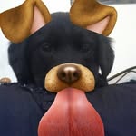 Bentley Marshall Gray - @bentley_marshall_gray - Instagram