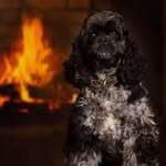 Maysen/Bentley - @maysenandbentley - Instagram
