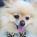 Bentley - @bentley_mccallister_ - Instagram