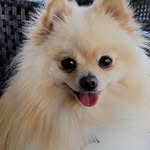 Bentley McCallister - @bentleymccallister - Instagram