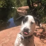 Bentley Oreo McCall - @bentley_mccall - Instagram