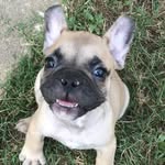 Bentley Earl Moon - @bentley_earl_moon - Instagram