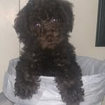 Bentley Moon - @_bentleymoon_ - Instagram