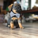 Bentley Apollo Moore - @bent_leymoore - Instagram