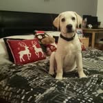 Bentley Moore - @bentleymoore - Instagram