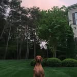 Bentley Moore - @bentleymoore_3 - Instagram
