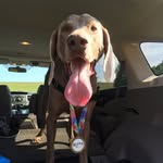 Bentley Martin - @bentleymosesmartin - Instagram
