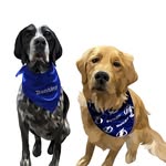 Bentley and Nash - @bentleyandnash - Instagram