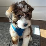 @bentley_nash.thenumber1 - Instagram