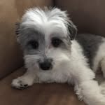 Bentley Nash - @justbentleythings15 - Instagram