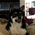 Bentley Nash - Facebook
