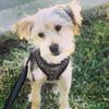 Bentley Nash - @bentley.nash1 - TikTok