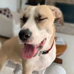 Bentley Nash Ike - @_bentleyike - Instagram