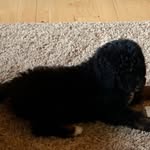 Bentley fan page - @bentley_fan_page27 - Instagram