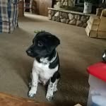 Bentley James fan page - @bentleyjamesfanpage - Instagram
