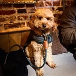 Bentley Page - @bentley____page - Instagram