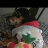 Graysen - @bentley_fan_page - TikTok