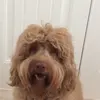 Bentley Ratcliff - @itz.bentley - TikTok
