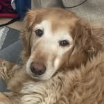 Bentley Richards - @bentleyrichards5 - Instagram