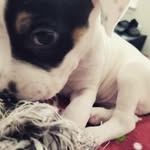 Bentley Rose - @bentleyjairose - Instagram