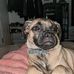 Bentley Rose - Facebook