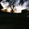 Bentley Sharp - @bentley.sharp1 - TikTok