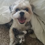 Bentley Sharp Johnson - @bentleybadass - Instagram