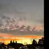 Bentleylovesharp - @jeauslovesu32 - TikTok