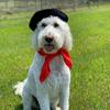 Bentley Sheets - @bentleyfromtheburbs - TikTok