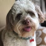 Bentley Simpson - @bentleywsimpson - Instagram