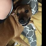 Bentley Stanton - @bentleystanton - Instagram
