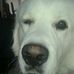 Bentley Stanton - Facebook