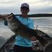 Benton A. Davis - Facebook