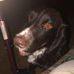 Benton Davis - Facebook