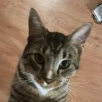 Benton Thompson - @bentont155186 - Instagram