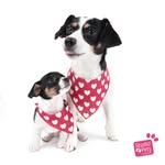 Beppie, Truus, Mieni, Sjaan, Donnie & Greetje - @beppiesworld - Instagram