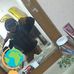 Silvia Berenice Sánchez Jáuregui - Facebook