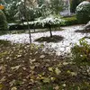 Berfin celik - @berfin.celik328 - TikTok