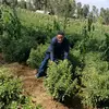 Beyene Berhanu - @beyeneberhanu - TikTok