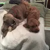 hudsonberkley - @hudsonberkley - TikTok