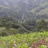 soy yo - @bernehernandez - TikTok