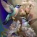 Berna Berger - Facebook