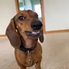 PoohBear30 - @bernard_murphy - TikTok
