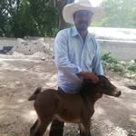 Bernabe Aragon - @bernabe.aragon.735 - Instagram