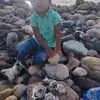 Bernabe Basurto Clemente - @bernabe.basurto.c - TikTok