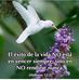 Bernabe Campos - Facebook