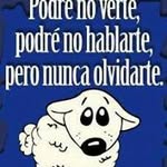 Bernabe Cruz Lopez - @bernabecruzlopez - Instagram