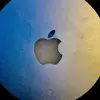Bernat del Olmo - @bernat.del.olmo8 - TikTok