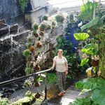 Bernadett Tóth - @bernadett.toth.7545 - Instagram