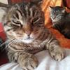 bernadett toth - @bernadett.toth2 - TikTok